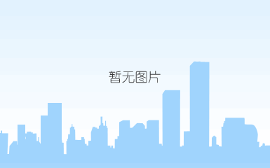 海外企业保镖